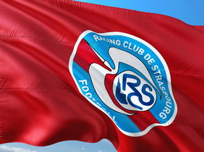 爱游戏登录入口-阿尔希拉尔主场迎战帕尔梅拉斯，锋线火力引爆看点