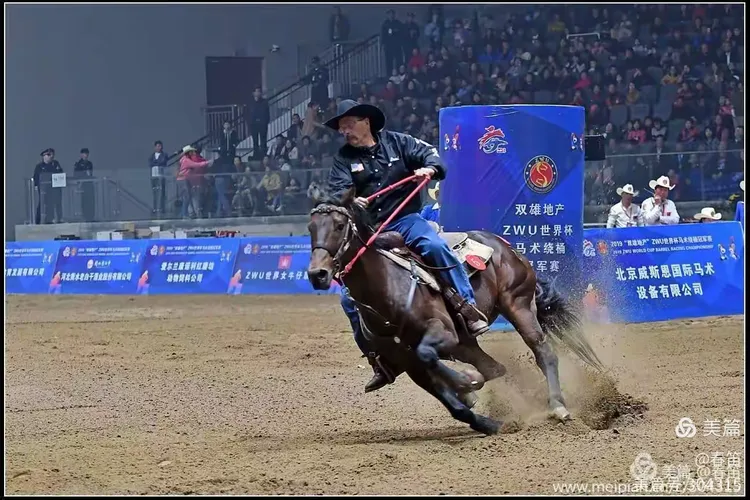 爱游戏电竞-捷克代表团在马术赛事中获得好成绩